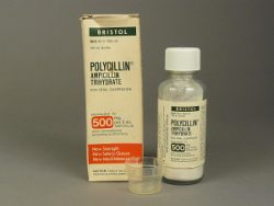 Polycillin (Generic Ampicillin)